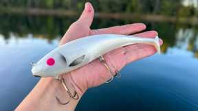 Fishing MASSIVE Lures for LAKE MONSTERS!