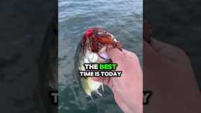 #fishing #shortsviral #fishingshorts
