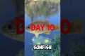 Catching Every Fish In California~Day 