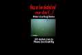 See What's Lurking Below | DIY GoFish 