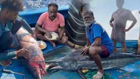 BIGGEST 💢Fish Ever Caught in the Ocean🤩MASSIVE Seafood Feast‼️| S02-day 4 to 6