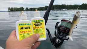 Do Lure Scents Help You Catch More Fish?? (Or Is It A Sales Trick?)