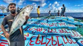 Unique! Tuna Fishes That Stay In The Sea For Long Days | Day 10-13 | Deep Sea Fishing | S04 | Part-3