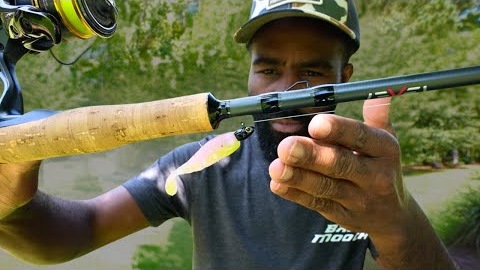 The Truth - Modern Fishing Lure Trends DONT WORK