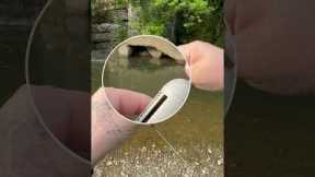 Monomaster fly line waste! #fly #fishing #tyingflies #flytying