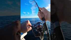 Bluefin Tuna Spin Gear Offshore Fishing