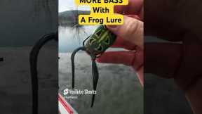 How To Catch MORE FISH With A Topwater Frog Lure!