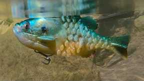 Berkley Gilly Rigging Tips - How To Make Your Gilly Float