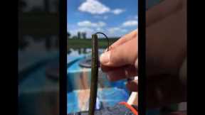 Bass Fishing - How to Texas Rig a plastic worm. #bigbassenergy #catchinbass #fishing #bassfishing