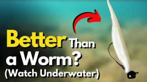5 Shaky Head Lure ALTERNATIVES That Excel (Watch Underwater)