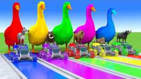 Long Slide Game With Cow Elephant Gorilla Hippopotamus Tiger - 3d Animal Game - Funny 3d Animals