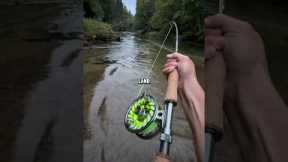 On today’s episode of river monsters #flyfishing #kingsalmon #chinooksalmon  #trout