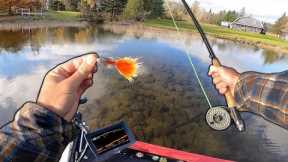 I Didn't Think Fly Fishing Was THIS Much Fun (Legendary Fishing Day)