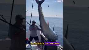 $3 Million Fish: The World Record! 🐟🏆