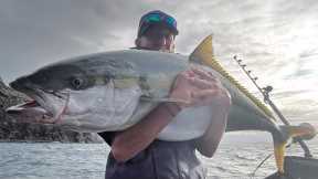 Hectic! Tuna, Thresher sharks and Big kingfish bite at the same time