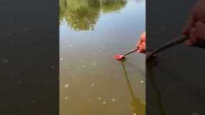 Red Liquid High Concentration Fish Bait for Trout Cod Carp Bass Strong Fish Attractant