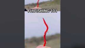 What Is a Fishing Fly? 🤔 #fishing #flyfishing #humor