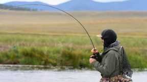 Dream Stream Fall Fishing Report| Weather outlook, Current Flows, and Hot Flies!