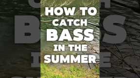 How to Catch More Bass in Summer (Tips + Techniques)