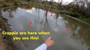 When you see THIS on top of the water, the CRAPPIE are close by! Creek Crappie Fishing!