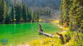 Fly Fishing a Small Lake POLLUTED with Beautiful Fish!! (My First Grayling)