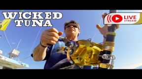 Wicked Tuna Channel Live - 24/7 Fishing Action!!!