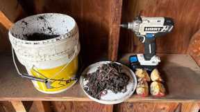 Free DIY Worm Farm - Never buy Fishing Bait Again!