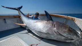48 Hrs Chasing $1,000,000 Fish... GIANT Bluefin Tuna