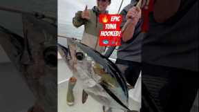 Adventure Tuna Hook Fishing 🎣 | Deep Sea Big Catch #shorts #fishing #usa #shortsfeed