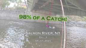 Fly Fishing For Salmon - Day 3 - Salmon River, NY (09/17/2025) - 98% of a Catch!