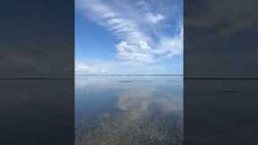 Fly Fishing FAIL: When the Perfect Cast Goes Wrong!🐟 #flyfishinglife #flyfishingaddict #flyfishing