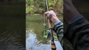 Unbelievable Michigan king salmon action #flyfishing #salmon #trout #onthefly