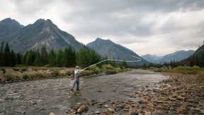 You Won’t Believe This Fly Fishing Backdrop (Wild Trout on Dry Flies!)