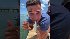 WHEN PLAYING WITH THE FISH GOES RIGHT