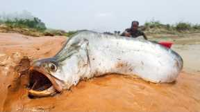 “How to Catch Big Fish: Proven Fishing Tips & Tricks for 2025” Fishing by locals 