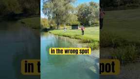 Fishing in the Wrong Spot #flyfishing #funny #fishing