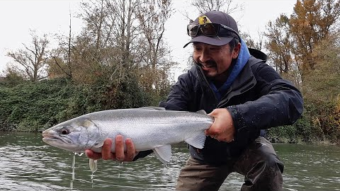 When river gets high, go where you normally don't fish - COHO SALMON FISHING | Fishing with Rod