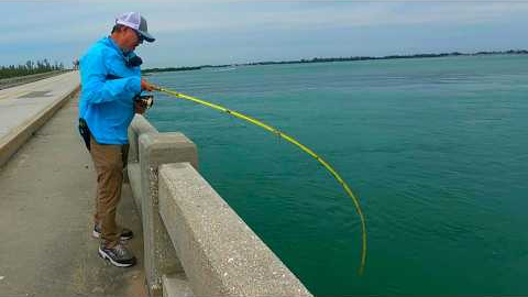 This Never Happens! | Florida Bridge Fishing Gets Wild