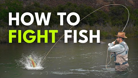 Setting the Hook & Fighting Fish On A Fly Rod — Fly Fishing for Beginners | Episode 20