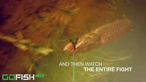 GoFish Cam - The Most Popular Wireless Underwater Fishing Camera