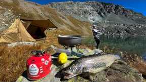 Solo Camping and Fishing at a Remote Mountain Lake | Catch & Cook