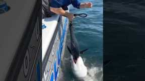 Give Me Back My Tuna! 🦈 #shark #fishing