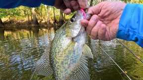 Catch More Crappie, Bass and Bream with These 2 Unusual Lure Tips?