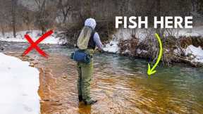 Why Winter Trout Are Easier to Find Than You Think | Episode 4