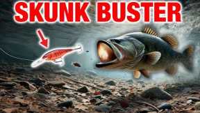 STOP Getting Skunked (How to Use My Go-To Lure)