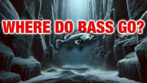 The Cold Water Bass Blueprint: Locations + Top 3 Baits