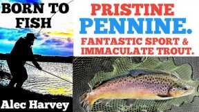 FLY FISHING - CATCHING QUALITY TROUT AT A LOVELY FISHERY.