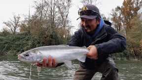 When river gets high, go where you normally don't fish - COHO SALMON FISHING | Fishing with Rod