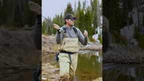 The Day the Fish Wouldn’t Bite (and What We Learned)