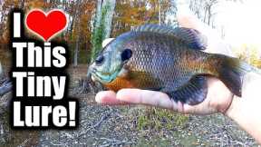 Catching BIG BLUEGILL on My Smallest Bait! (Tiny Lure Fishing)